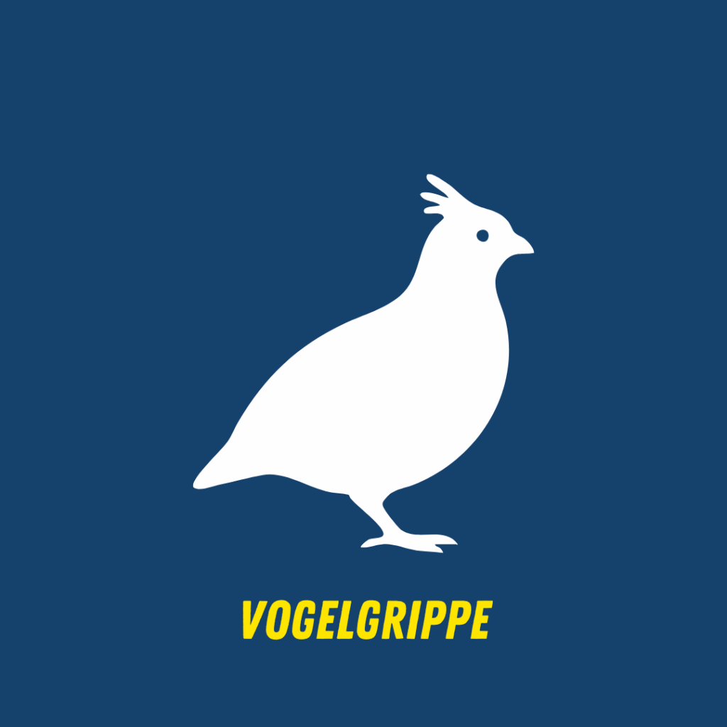 Vogelgrippe